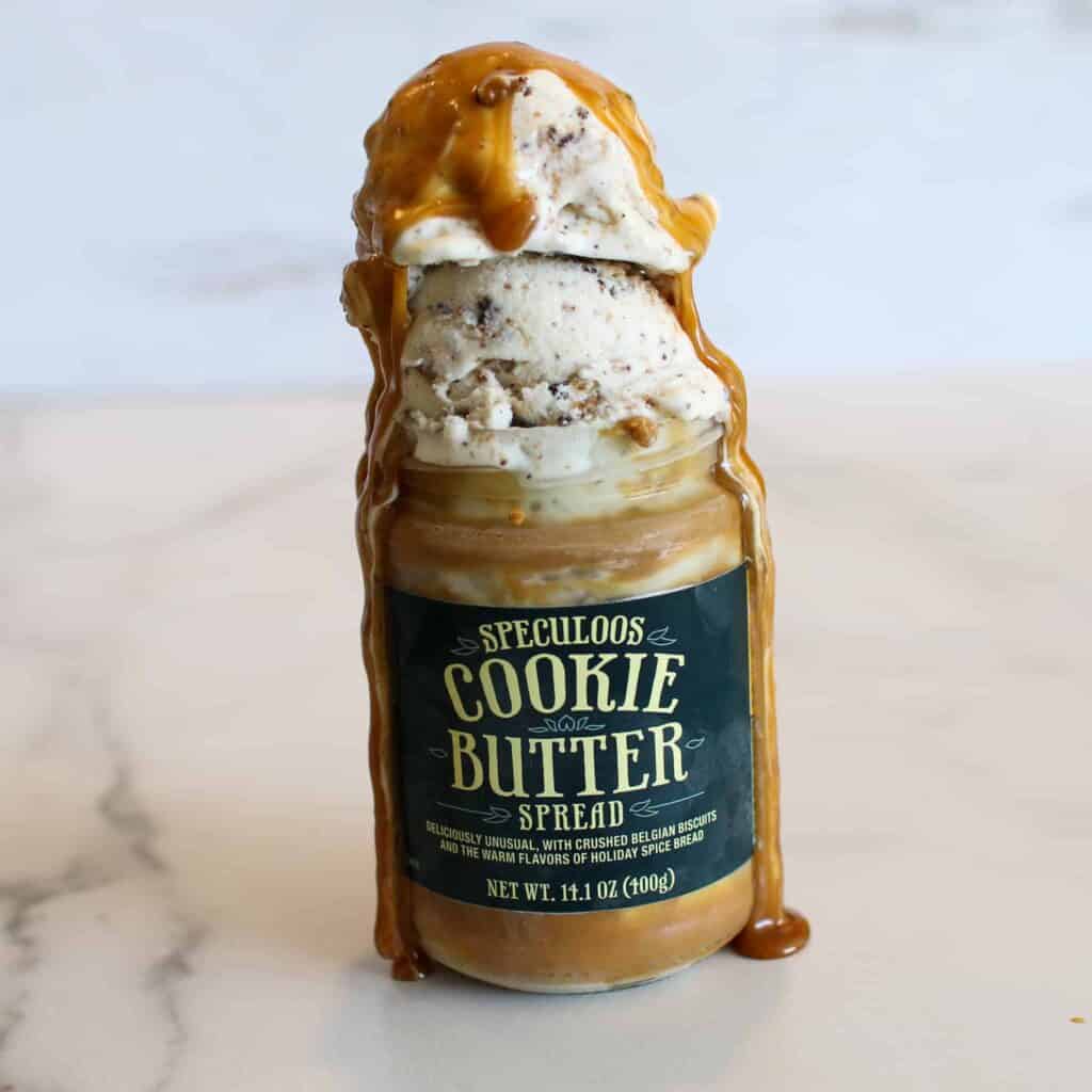 Cookie Butter Bar Ice Cream