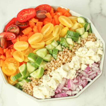 Overhead Angle Rainbow Couscous Salad