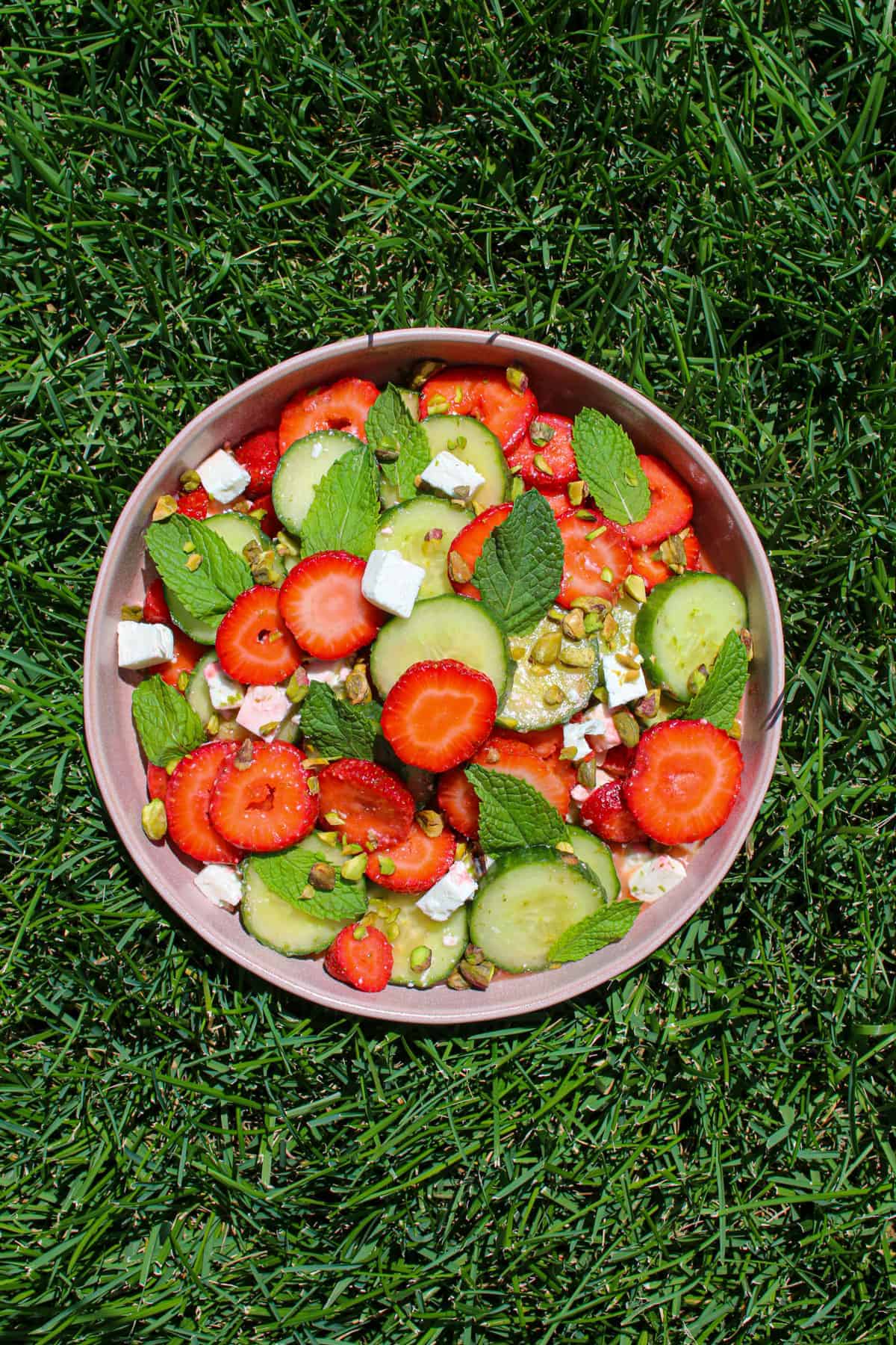 A pink bowl with strawberry coins, cucumber coins, whole mint leaves, cubed feta,  crushed pistachios on green grass.