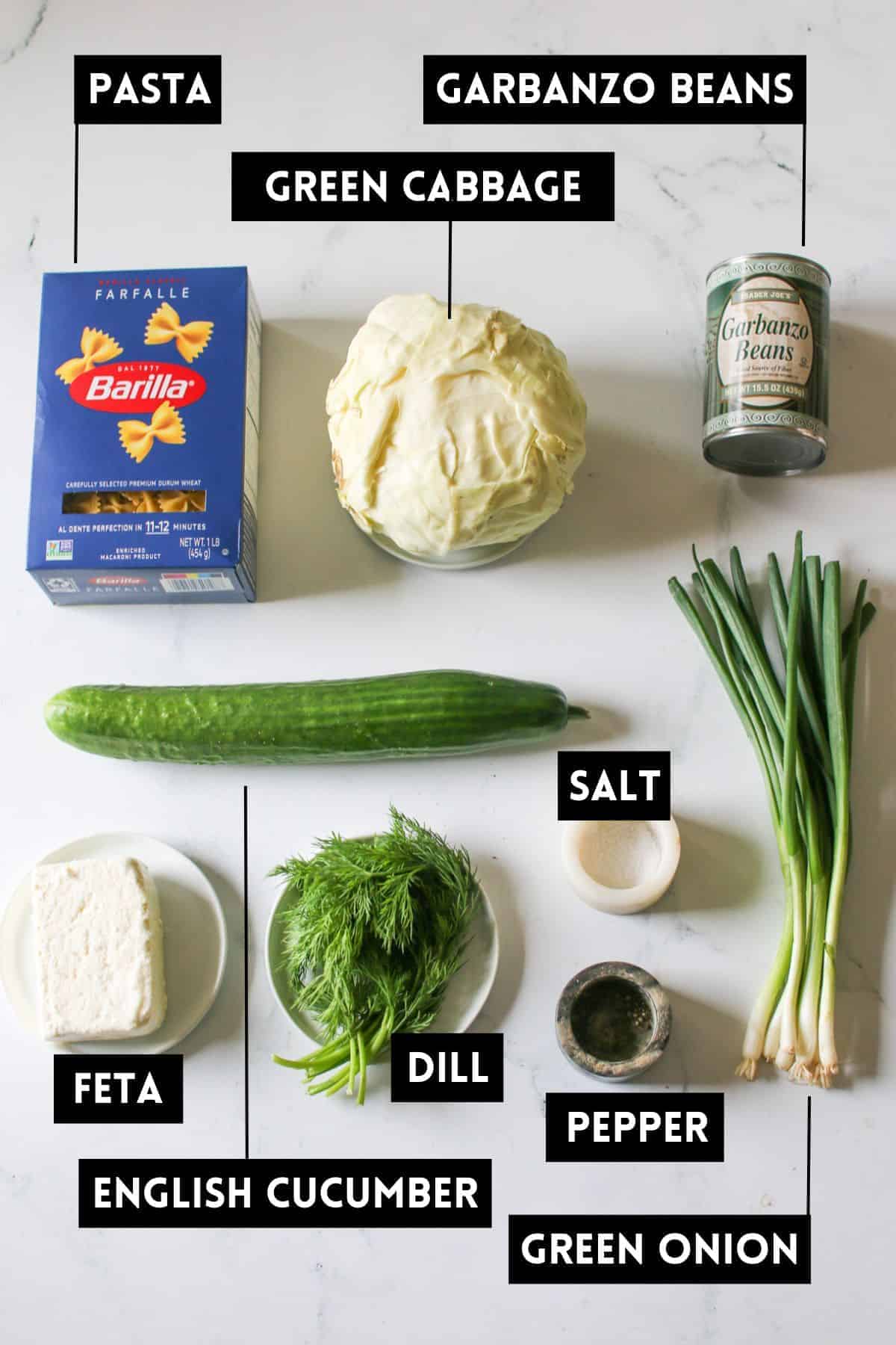 Cabbage Pasta Salad Ingredients on a white marble background. Each item is labeled with a black box with white text. Some items have a small thin line with points to each item.